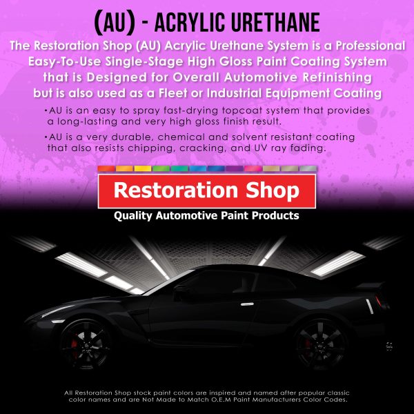 Warm Gray Metallic Acrylic Urethane Auto Paint - Complete Gallon Paint Kit - Professional Single Stage Automotive Car Coating, 4:1 Mix Ratio 2.8 VOC Supply - Image 3