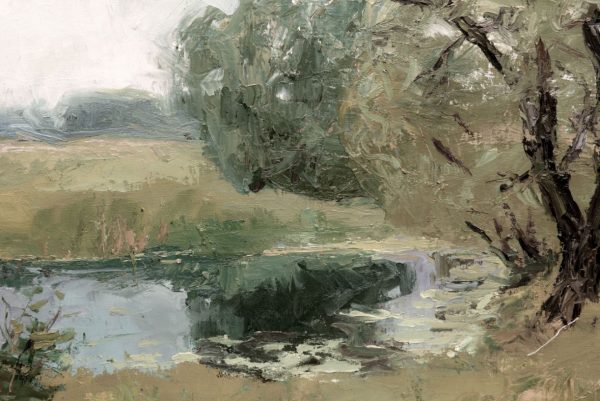 The Pond Online